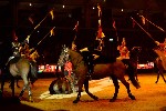 Cavalry - 00347